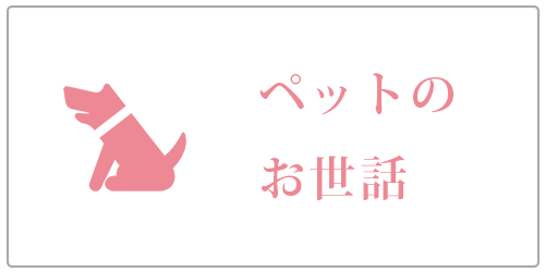 ペット